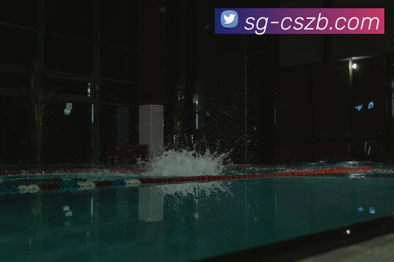 彩神争霸平台生态图